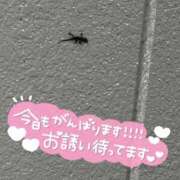 ヒメ日記 2025/08/24 22:02 投稿 みなと ダイスキ