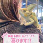 ヒメ日記 2025/12/13 03:15 投稿 みなと ダイスキ