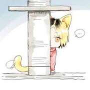 ヒメ日記 2025/12/15 22:56 投稿 みなと ダイスキ