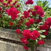 冴島ひろ おはようございます 宇都宮CLUB