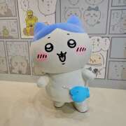 ヒメ日記 2025/09/24 21:34 投稿 ほたる 豊満熟女