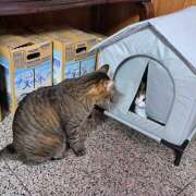 ヒメ日記 2025/10/18 09:56 投稿 ほたる 豊満熟女