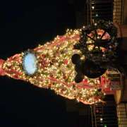 ヒメ日記 2025/12/21 08:14 投稿 ほたる 豊満熟女