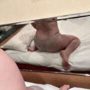 ヒメ日記 2025/09/22 11:53 投稿 るな 白いぽっちゃりさん