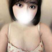 ヒメ日記 2025/11/28 15:55 投稿 るな 白いぽっちゃりさん