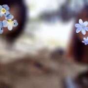 ヒメ日記 2026/04/13 00:54 投稿 りおな 京都痴女性感フェチ倶楽部