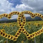 ヒメ日記 2025/08/14 20:18 投稿 ゆら ふわもこ人妻ランド　那須塩原店