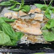 ヒメ日記 2025/07/20 08:52 投稿 せいら 奥様の実話 梅田店