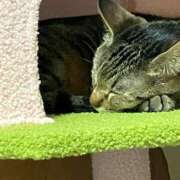 ヒメ日記 2025/07/27 08:35 投稿 せいら 奥様の実話 梅田店