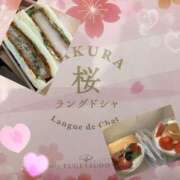 ヒメ日記 2026/02/23 18:21 投稿 せいら 奥様の実話 梅田店