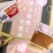 ヒメ日記 2026/02/25 19:30 投稿 せいら 奥様の実話 梅田店