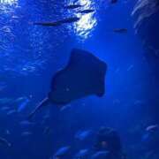 ヒメ日記 2025/07/21 17:19 投稿 わこ 京都回春性感マッサージ倶楽部