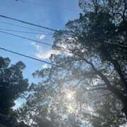 ヒメ日記 2025/08/07 12:48 投稿 わこ 京都回春性感マッサージ倶楽部