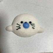 ヒメ日記 2025/08/30 19:38 投稿 わこ 京都回春性感マッサージ倶楽部