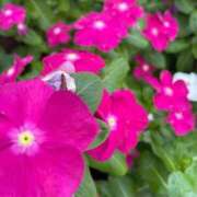 ヒメ日記 2025/09/10 18:18 投稿 わこ 京都回春性感マッサージ倶楽部