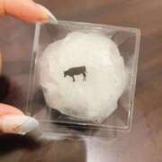 ヒメ日記 2025/09/15 16:18 投稿 わこ 京都回春性感マッサージ倶楽部