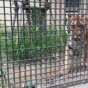 ヒメ日記 2025/09/17 16:18 投稿 わこ 京都回春性感マッサージ倶楽部