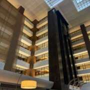 ヒメ日記 2025/11/14 19:02 投稿 河北めい ミセスの癒しエステ