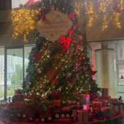 ヒメ日記 2025/12/26 17:50 投稿 河北めい ミセスの癒しエステ