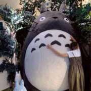 ヒメ日記 2025/10/10 11:18 投稿 ちゃい 成田富里インターちゃんこ