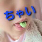 ヒメ日記 2025/10/21 12:48 投稿 ちゃい 成田富里インターちゃんこ