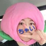 ヒメ日記 2025/10/31 19:28 投稿 ちゃい 成田富里インターちゃんこ