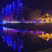 ヒメ日記 2025/11/28 12:08 投稿 ちゃい 成田富里インターちゃんこ