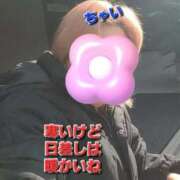 ヒメ日記 2025/12/10 12:28 投稿 ちゃい 成田富里インターちゃんこ