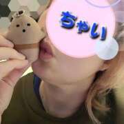 ヒメ日記 2025/12/13 03:18 投稿 ちゃい 成田富里インターちゃんこ