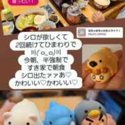 ヒメ日記 2025/12/14 10:27 投稿 ちゃい 成田富里インターちゃんこ