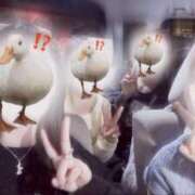 ヒメ日記 2025/12/29 09:01 投稿 ちゃい 成田富里インターちゃんこ