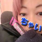 ヒメ日記 2026/01/07 11:08 投稿 ちゃい 成田富里インターちゃんこ