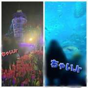 ヒメ日記 2026/01/15 18:48 投稿 ちゃい 成田富里インターちゃんこ