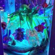 ヒメ日記 2026/01/16 20:08 投稿 ちゃい 成田富里インターちゃんこ