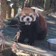 ヒメ日記 2026/01/22 13:48 投稿 ちゃい 成田富里インターちゃんこ