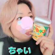 ちゃい どれが好き？ 成田富里インターちゃんこ