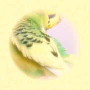 ヒメ日記 2025/11/04 12:40 投稿 あずさ 大塚 虹いろ回春