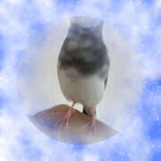 ヒメ日記 2025/11/05 10:33 投稿 あずさ 大塚 虹いろ回春