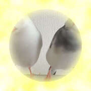 ヒメ日記 2025/11/05 16:56 投稿 あずさ 大塚 虹いろ回春