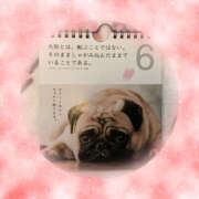 ヒメ日記 2025/11/06 09:31 投稿 あずさ 大塚 虹いろ回春