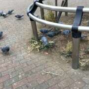 ヒメ日記 2026/01/07 09:59 投稿 あずさ 大塚 虹いろ回春