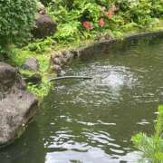 ヒメ日記 2025/06/04 20:05 投稿 れいみ 奥鉄オクテツ東京店（デリヘル市場）