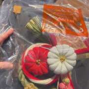 ヒメ日記 2025/12/29 17:45 投稿 れいみ 奥鉄オクテツ東京店（デリヘル市場）