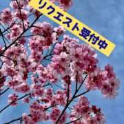 ヒメ日記 2025/07/03 11:06 投稿 鳴門 熟女の風俗最終章 新横浜店