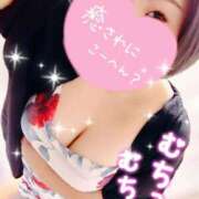 ヒメ日記 2025/08/08 17:18 投稿 うた 所沢東村山ちゃんこ