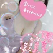 ヒメ日記 2025/09/12 16:24 投稿 うた 所沢東村山ちゃんこ