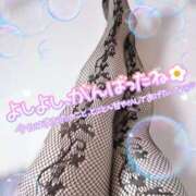 ヒメ日記 2025/10/01 20:07 投稿 うた 所沢東村山ちゃんこ