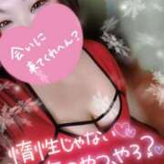 ヒメ日記 2025/11/11 16:24 投稿 うた 所沢東村山ちゃんこ