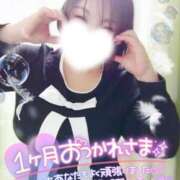 ヒメ日記 2025/12/23 18:03 投稿 うた 所沢東村山ちゃんこ