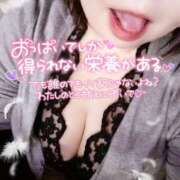 ヒメ日記 2026/02/15 21:11 投稿 うた 所沢東村山ちゃんこ